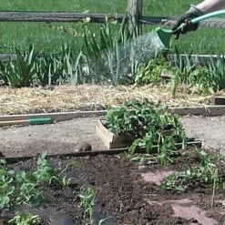 Biodegradable Paper Mulch, 4 Feet By 250 Feet -Garden Care wg48250f 5