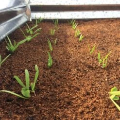 Wonder Soil Expand & Plant Organic Planting Mix, 2.5 Cu. Ft. -Garden Care wsepoc25 2