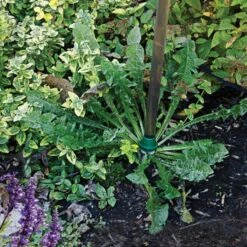 Weed Wand Magic Applicator -Garden Care wwa 2