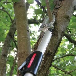 ARS Long-Reach Pruner, ZR Series, 6-10 Feet 5 ARS Long-Reach Pruner, ZR Series, 6-10 Feet -Garden Care zf185 2